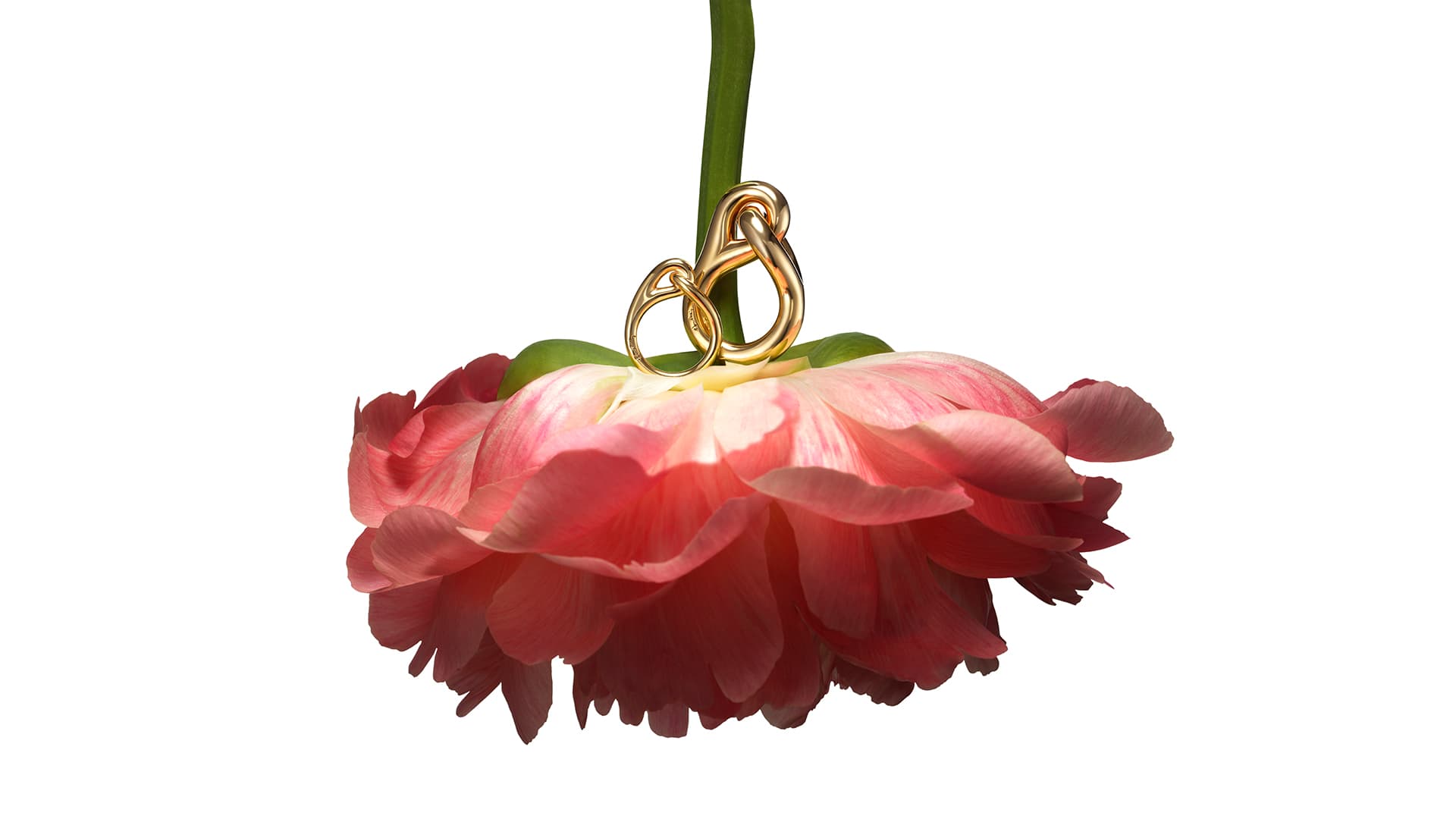 https://a.storyblok.com/f/329822/1920x1080/04c5709efd/16x9-soulmate_pion.jpg