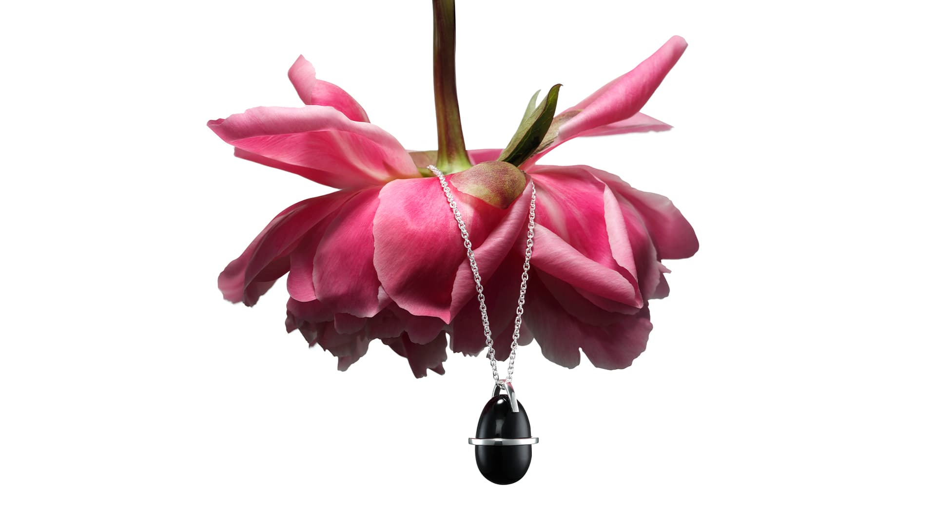 https://a.storyblok.com/f/329822/1920x1080/28ecf446ee/16x9-sweet-black_pion.jpg