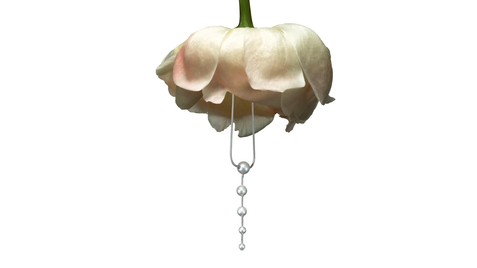 https://a.storyblok.com/f/329822/1920x1080/689d5f56d2/16x9-flowing-pearls_pion.jpg