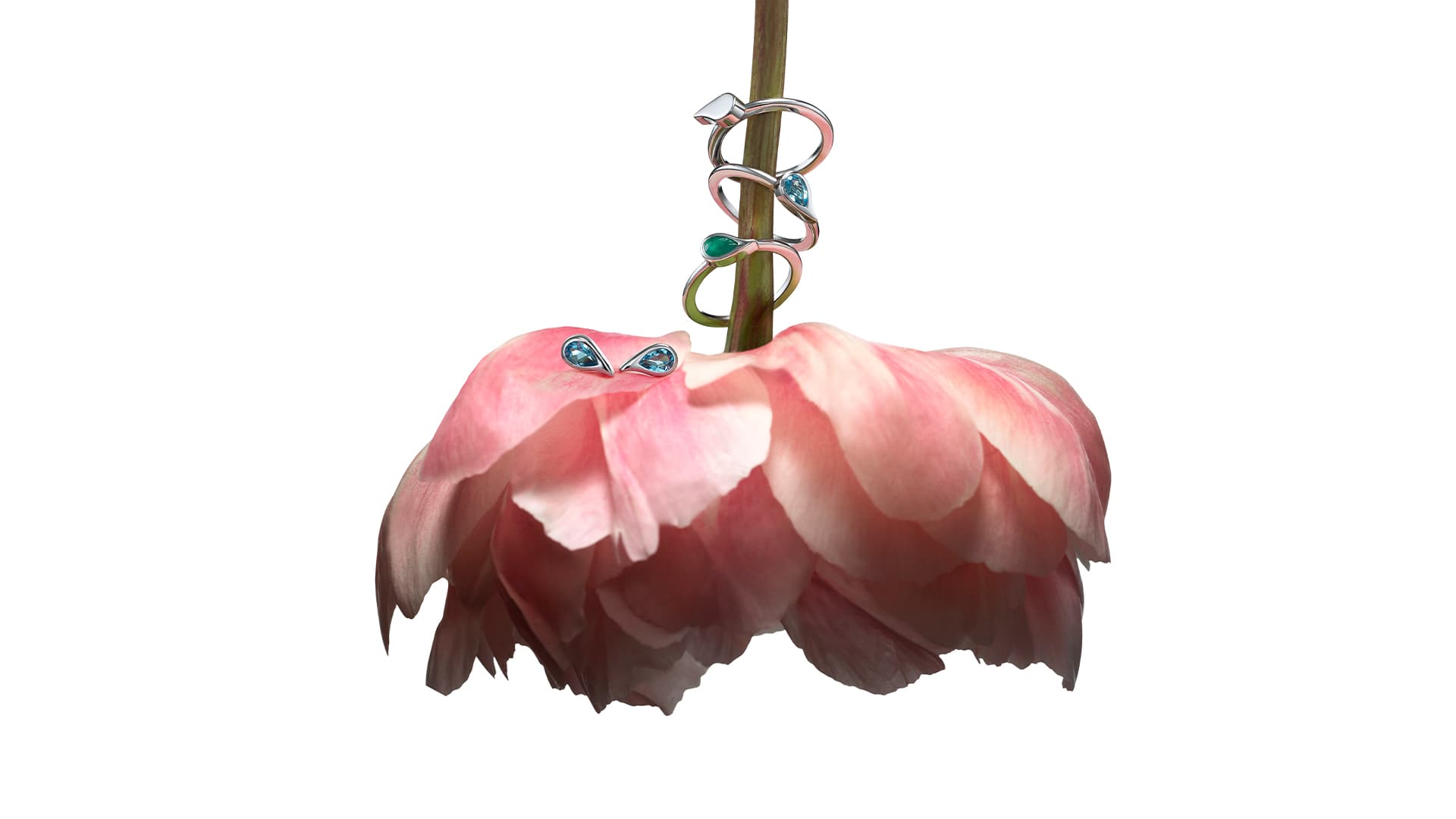 https://a.storyblok.com/f/329822/1920x1080/b6caf01a93/16x9-sparkle-of-life_2_pion.jpg