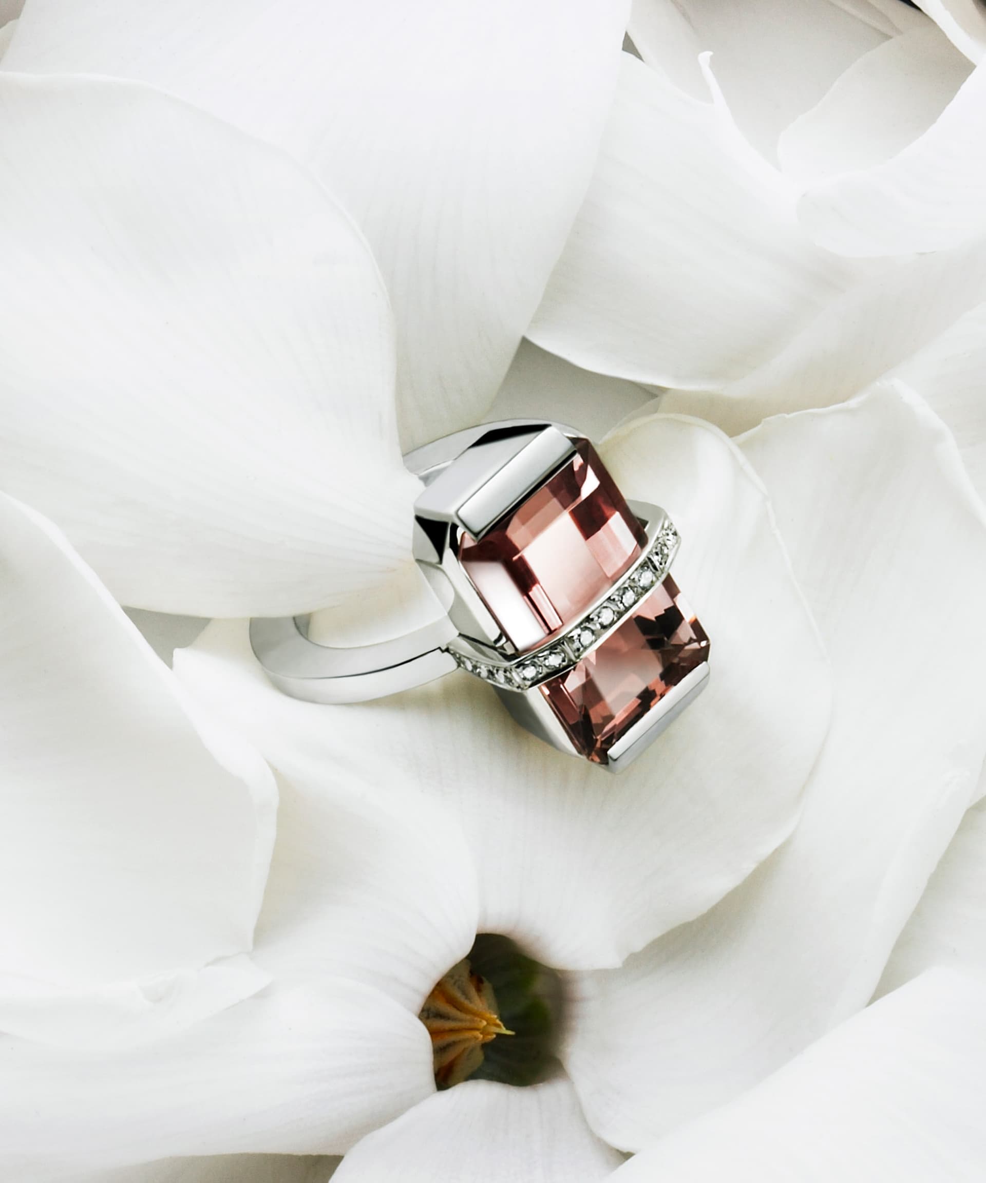 RINGAR - Efva Attling