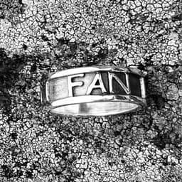 Fan Fan Fan Ring