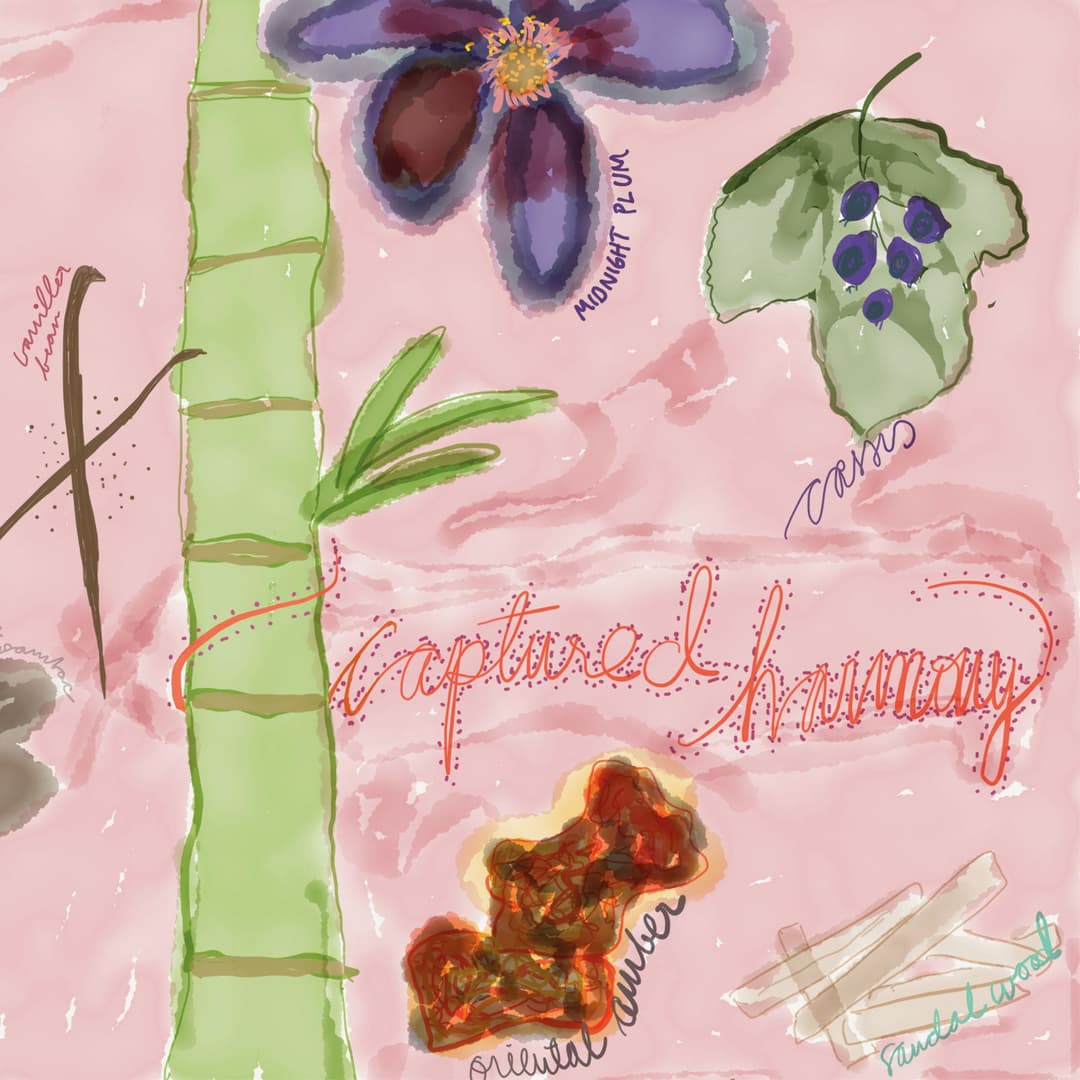 Perfume - Captured Harmony.