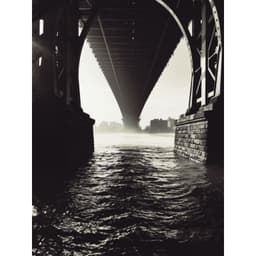 Williamsburg Bridge Butterfly.