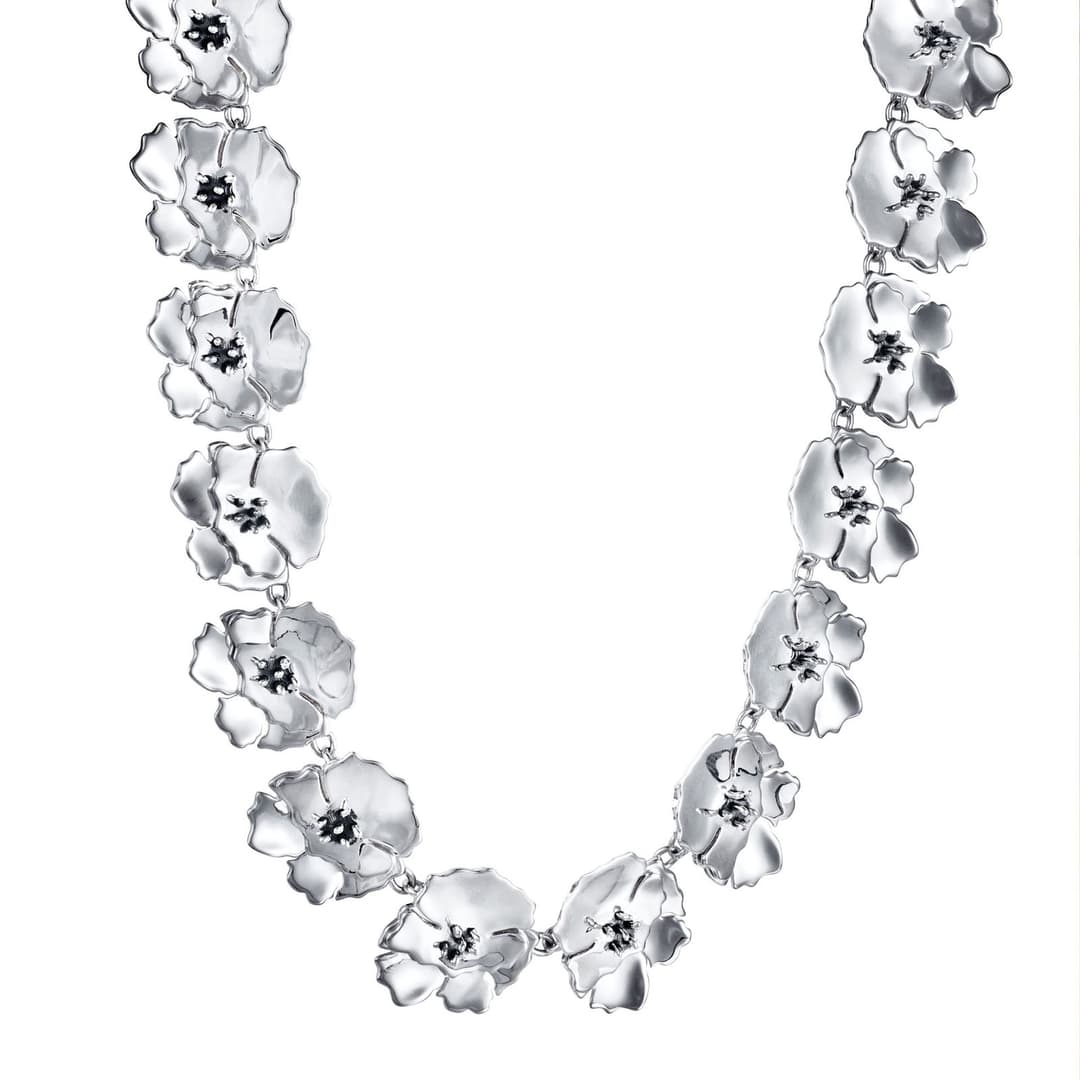 Anemone Collier
