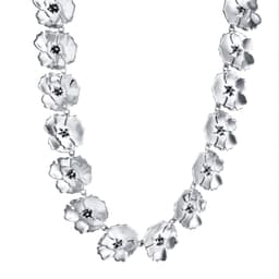 Anemone Collier