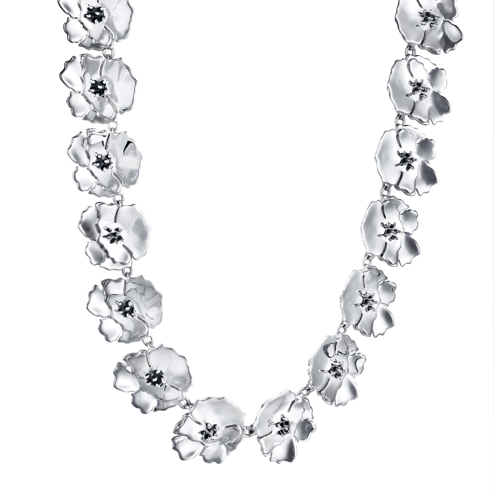 Anemone Collier